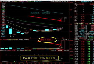 计算机系统集成服务板块 深度解析后市强劲增长潜力